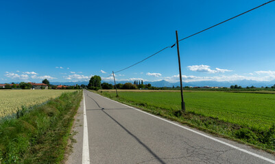 Fototapeta na wymiar Country road with telephone line with wooden poles over blue sky, countryside of the plain of the province of Cuneo, Italy
