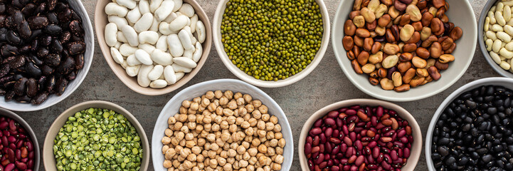 Banner of different types of legumes in bowls, yellow peas and chickpeas , colored beans and lentils, mung beans, top view, copy space - obrazy, fototapety, plakaty