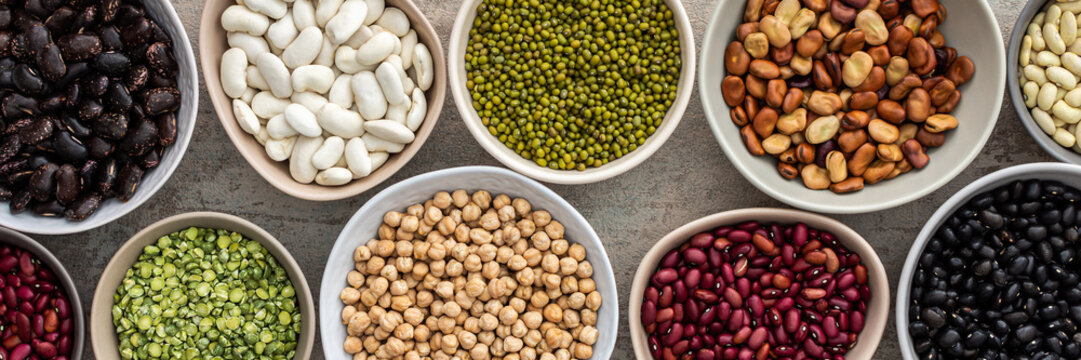 Banner of different types of legumes in bowls, yellow peas and chickpeas , colored beans and lentils, mung beans, top view, copy space