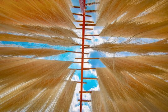 Making Rice noodles. Rice vermicelli noodles