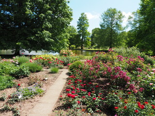 Rosengarten in Zweibrücken