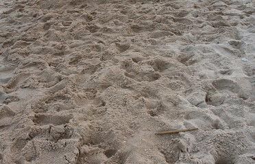 sand on the beach