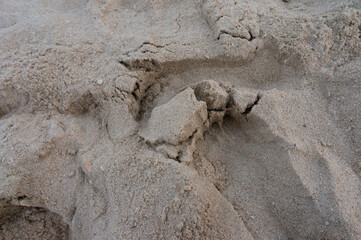 The surface of the beach is close up.