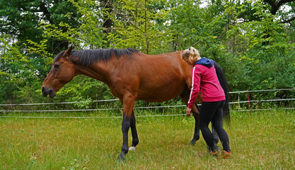 Trakehner Feldmeyer with owner at pasture