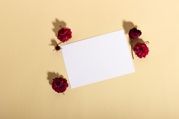 Blank paper cards with mockup copy space and dry flowers. Sheets of paper on a beige background with sunlight shadow. Minimal business brand template. Flat lay, top view