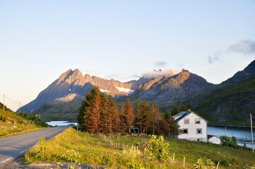 Norway landscape - nature and life