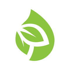 green leaves inside drop, vector logo icon