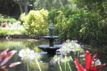 Fountain in a pond in a state park in Florida in a tropical rainforest setting