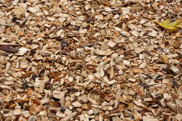 brown background