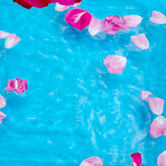 Fototapeta na wymiar water ripples and rose petals on the surface