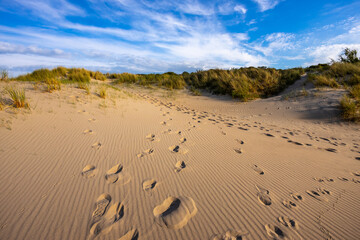 sand dunes and footprints at the north sea in netherlands