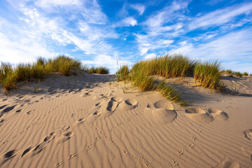 Fototapeta na wymiar sand dunes and footprints at the north sea in netherlands