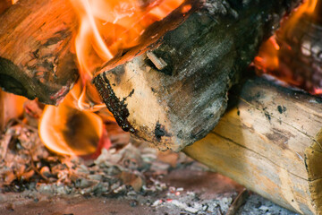 Wood from protected forests used for cooking and heating homes. Irresponsible use of natural resources