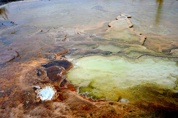 Canary Spring Terraces Mammoth Hot Springs Yellowstone National Park