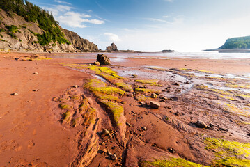 Five Islands Provincial Park. View of the Bay of Fundy at low tide.