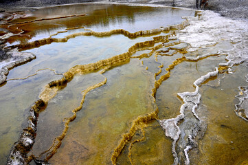Canary Spring Terraces Mammoth Hot Springs Yellowstone National Park