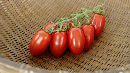 Branch with ripe little tomatoes in wicker basket bowl. San marzano cherry tomato cultivar.