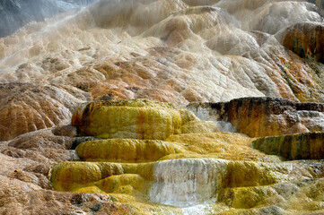 Canary Spring Terraces Mammoth Hot Springs Yellowstone National Park