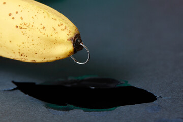 Banana with piercing decoration. Minimal piercing concept.