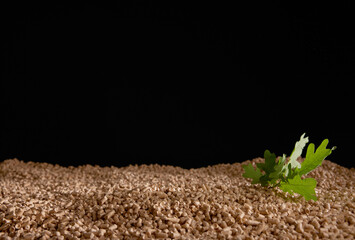 Green tree leaves on stack of fuel pellets