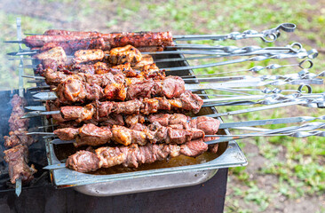 Appetizing hot shish kebab or shashlik on skewers