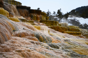 Canary Spring Terraces Mammoth Hot Springs Yellowstone National Park