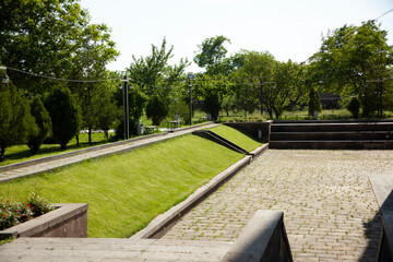 trees and grass with road in street