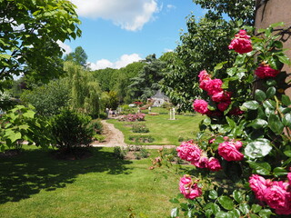 Fototapeta premium Rosengarten in Zweibrücken