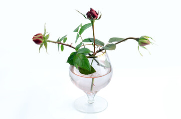 Three rosebuds in a brandy glass on a light background. Selective focus.