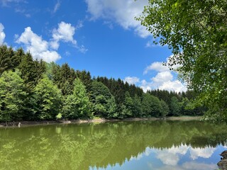 Fototapeta na wymiar summer landscape with a lake