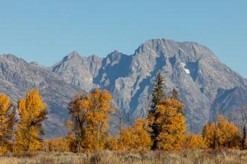 Fototapeta premium Scenic Teton Landscape in Autumn