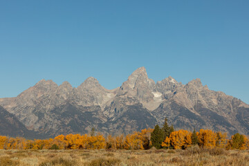 Scenic Teton Landscape in Autumn