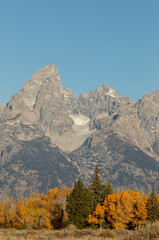 Scenic Teton Landscape in Autumn