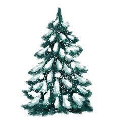 Fir tree with snow. Illustration, isolated on white.