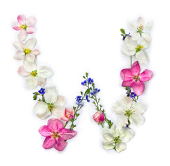 Letter W of flowers apple tree and blue wildflowers forget-me-nots on white background. Top view, flat lay