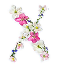 Letter X of flowers apple tree and blue wildflowers forget-me-nots on white background. Top view, flat lay