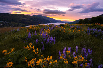 Fototapeta na wymiar sunrise over the Columbia River Gorge