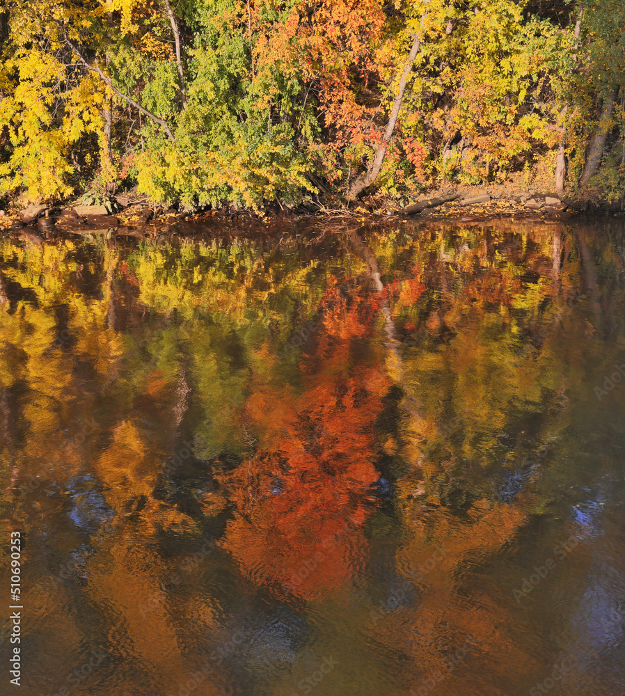 Wall mural autumn trees with reflection in river