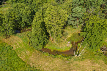 Mała wąska rzeka płynąca zakolami przez las. Brzegi porasta zielona trawa, w głębi znajduje się mieszany las. Jest słoneczny dzień. Zdjęcie zrobione z wysokości przy użyciu drona. - obrazy, fototapety, plakaty