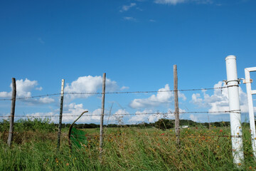 Obraz premium Rural Texas country landscape with sunny blue sky and clouds, barbed wire field fence.