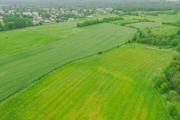 Rozległy, płaski teren pokryty zielonymi polami uprawnymi i łąkami. Widać polną drogę, kępy...