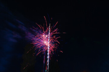 Beautiful festive red fireworks against the background of the night sky