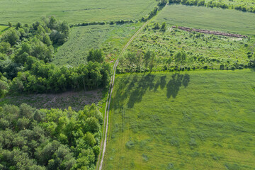 Pola i łąki wiosną widziane z dużej wysokości. Zdjęcie z drona.
Rozległy, płaski teren pokryty zielonymi polami uprawnymi i łąkami. Widać polną drogę, kępy drzew, oraz na obrzeżach iglasty las. Widok