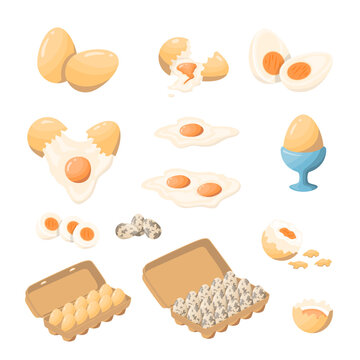 Cartoon Color Fresh and Boiled Eggs Set Flat Design Style. Vector illustration of Cracked or Peeled and Egg in a Cardboard Box