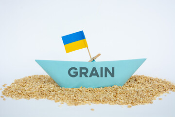 grain wheat kernel and spikelets on Ukrainian flag background. food problem 

