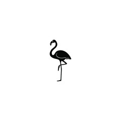 flamingo bird vector illustration for icons, symbols and logos
