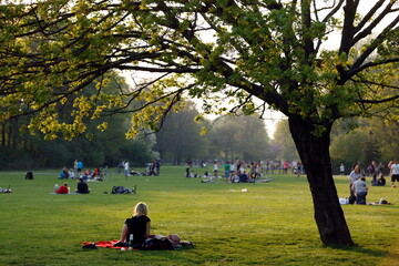 Paar unter Baum am Abend im Treptoewr Park in Berlin
