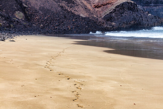 Natura - Lanzarote