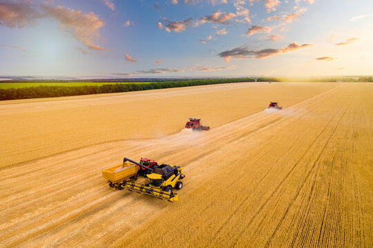 wheat field during the harvest of wheat. Combine harvesters work on the field. photo of a drone