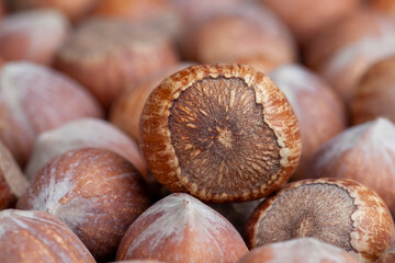 a pile of harvested hazelnuts on the table